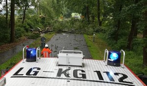 Der 22. Juni 2017 am Ortsausgang Kirchgellersen in Richtung Heiligenthal.