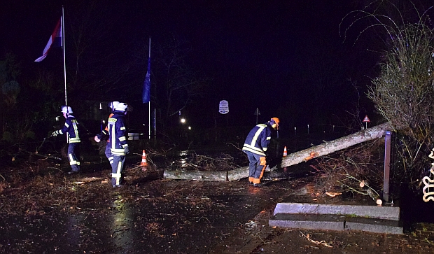 Der umgestürzte Baum vor der Heiligenthaler Wassermühle